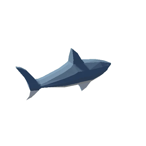 shark Fish